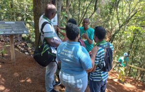 COP28, ativismo, justiça ambiental, acessibilidade