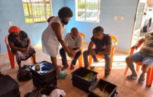 COP28, ativismo, justiça ambiental, acessibilidade