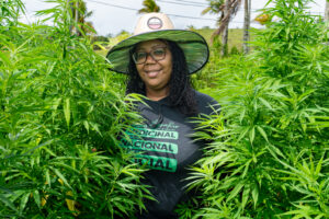 mulher negra em plantação de maconha