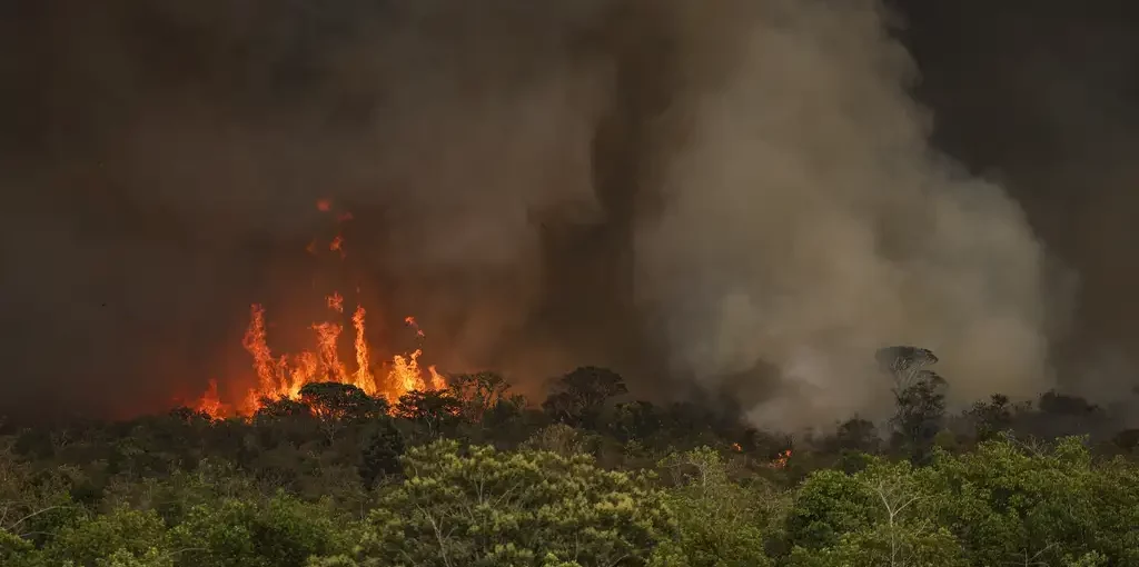 queimada