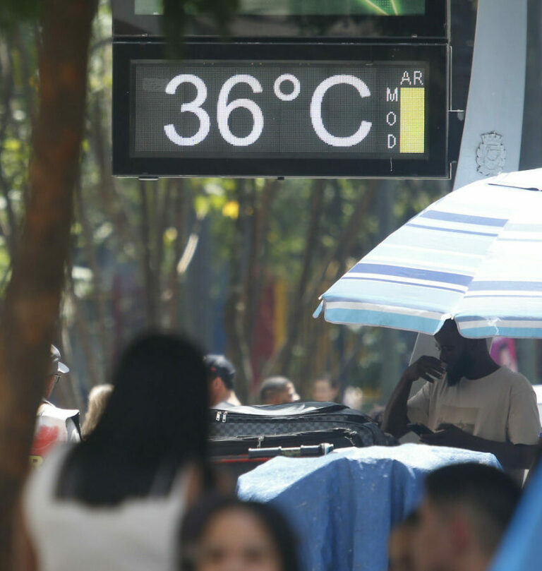 Blocos de Carnaval de SP reivindicam gabinete de crise climática