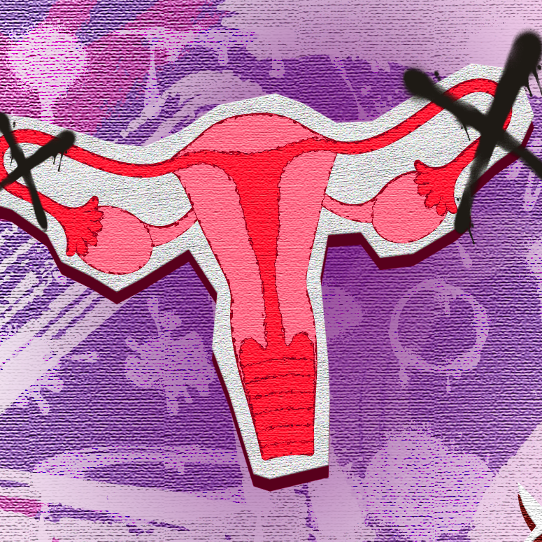 Nós temos escolha? A luta do feminismo negro contra a esterilização em massa de mulheres